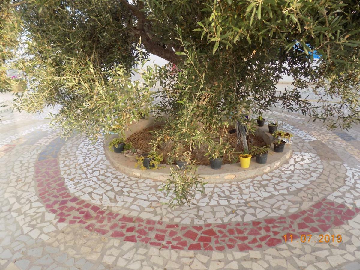 Dar Mamina Bed & Breakfast Sidi ash Shammakh Ngoại thất bức ảnh